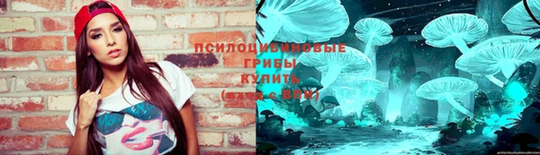 ECSTASY Рославль