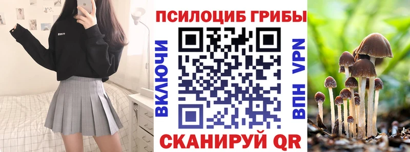 мега ССЫЛКА  Калачинск  Псилоцибиновые грибы GOLDEN TEACHER 